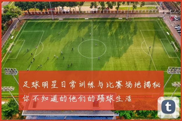 足球明星日常训练与比赛场地揭秘你不知道的他们的踢球生活