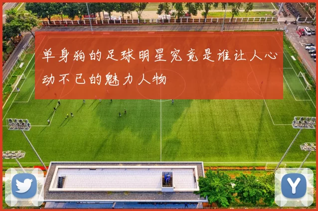单身狗的足球明星究竟是谁让人心动不已的魅力人物