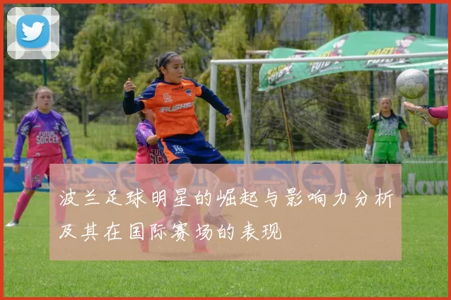 波兰足球明星的崛起与影响力分析及其在国际赛场的表现