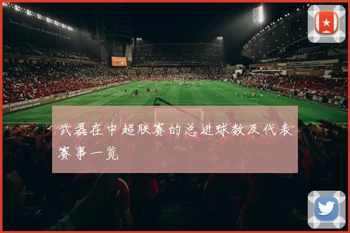 武磊在中超联赛的总进球数及代表赛事一览