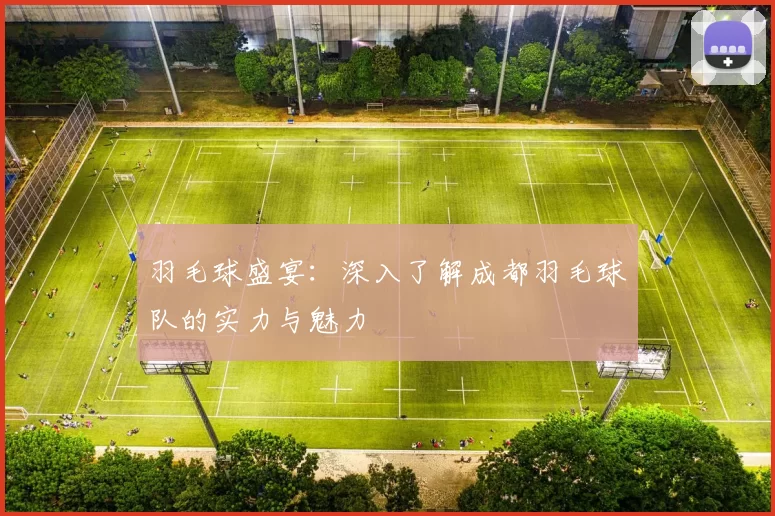 羽毛球盛宴：深入了解成都羽毛球队的实力与魅力