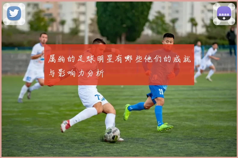 属狗的足球明星有哪些他们的成就与影响力分析