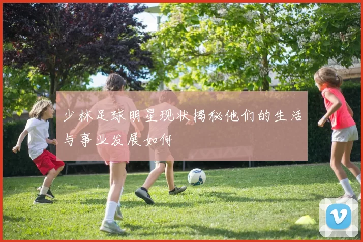 少林足球明星现状揭秘他们的生活与事业发展如何