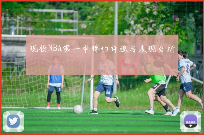 现役NBA第一中锋的评选与表现分析