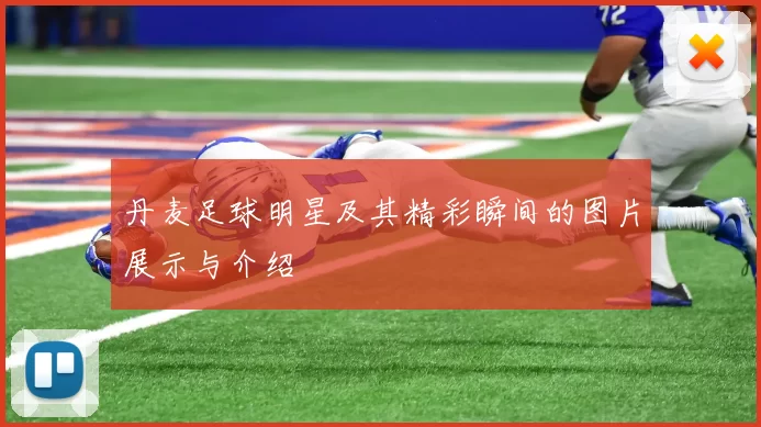 丹麦足球明星及其精彩瞬间的图片展示与介绍