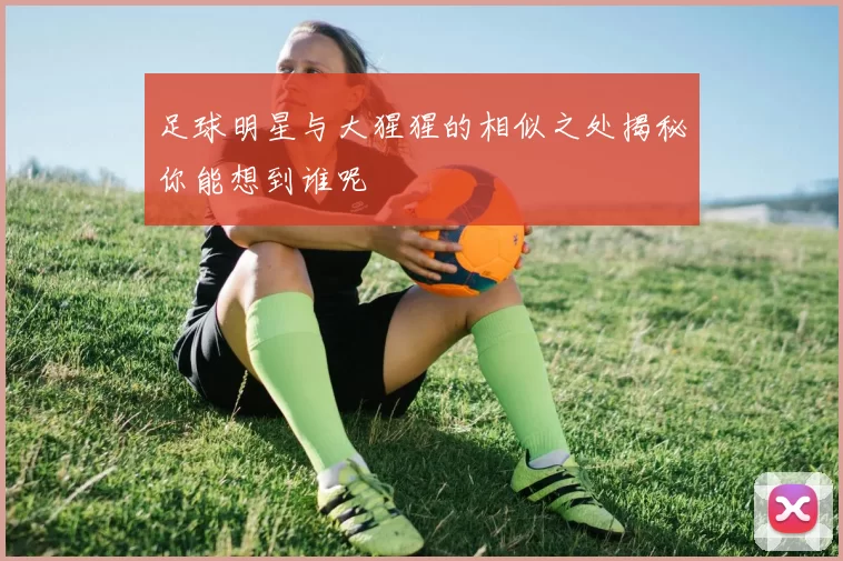 足球明星与大猩猩的相似之处揭秘你能想到谁呢