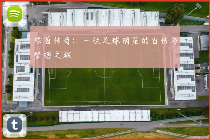 绿茵传奇：一位足球明星的自传与梦想之旅
