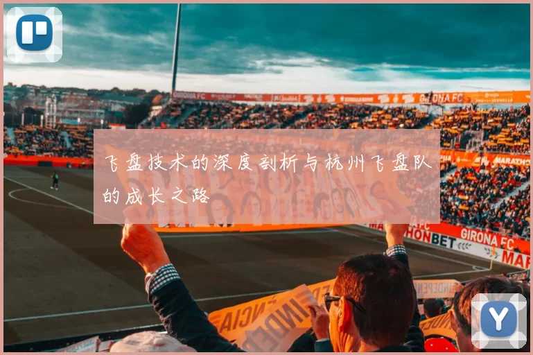 飞盘技术的深度剖析与杭州飞盘队的成长之路