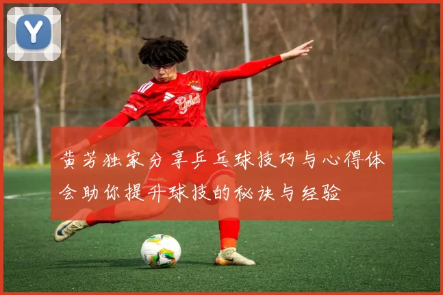 黄芳独家分享乒乓球技巧与心得体会助你提升球技的秘诀与经验
