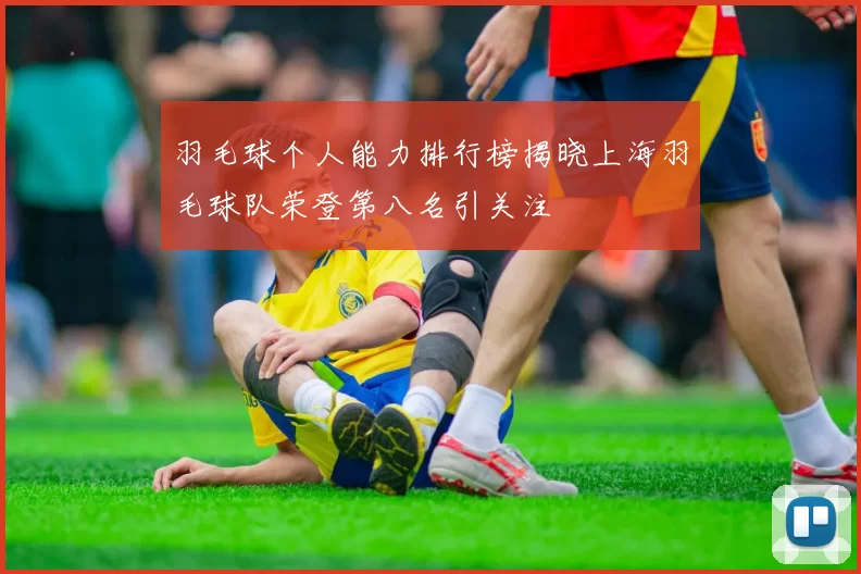 羽毛球个人能力排行榜揭晓上海羽毛球队荣登第八名引关注