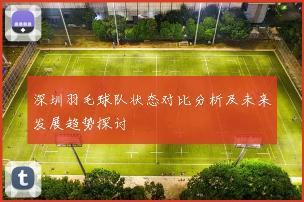深圳羽毛球队状态对比分析及未来发展趋势探讨