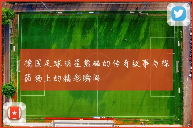 德国足球明星熊猫的传奇故事与绿茵场上的精彩瞬间