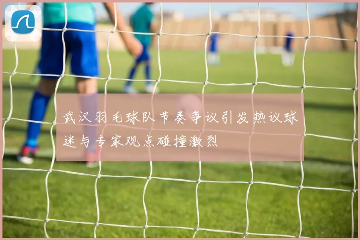 武汉羽毛球队节奏争议引发热议球迷与专家观点碰撞激烈