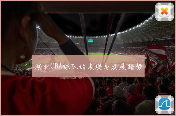 湖北CBA球队的表现与发展趋势
