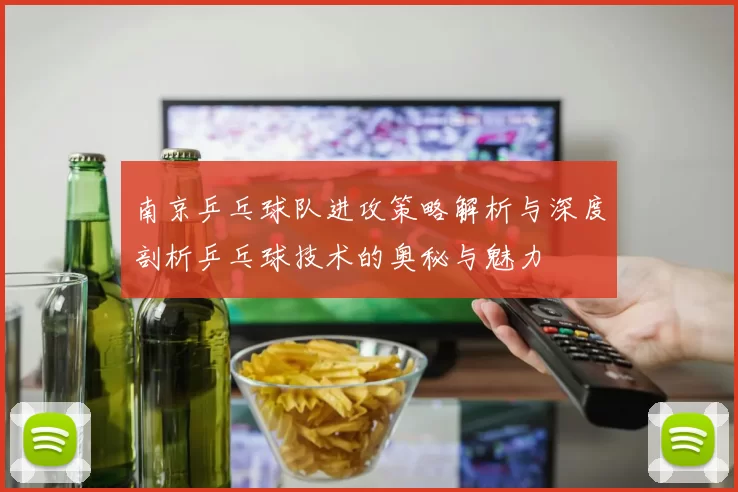 南京乒乓球队进攻策略解析与深度剖析乒乓球技术的奥秘与魅力