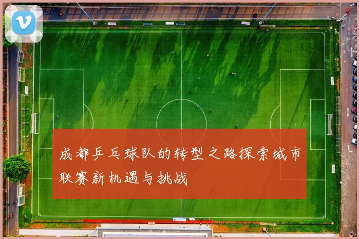 成都乒乓球队的转型之路探索城市联赛新机遇与挑战