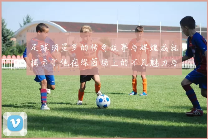 足球明星罗的传奇故事与辉煌成就揭示了他在绿茵场上的不凡魅力与影响力
