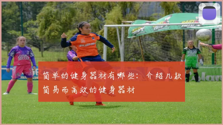 简单的健身器材有哪些：介绍几款简易而高效的健身器材