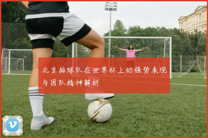 北京排球队在世界杯上的强势表现与团队精神解析