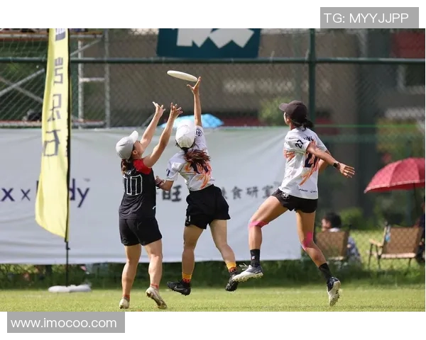 北京飞盘队在极限运动世界杯中的拼搏历程与荣耀时刻分享