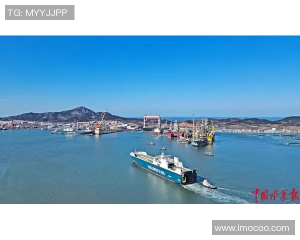 独家深度解析LNG耐力对比及其市场影响因素分析